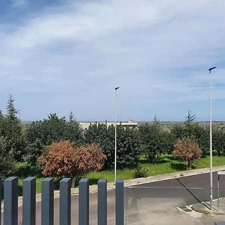 Sunflowersalento Serrano