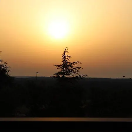 Sunflowersalento Casa de hóspedes 3*