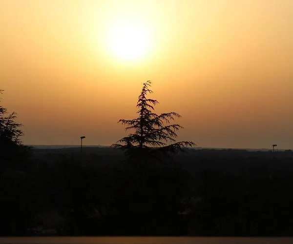 Sunflowersalento Πανσιόν 3*